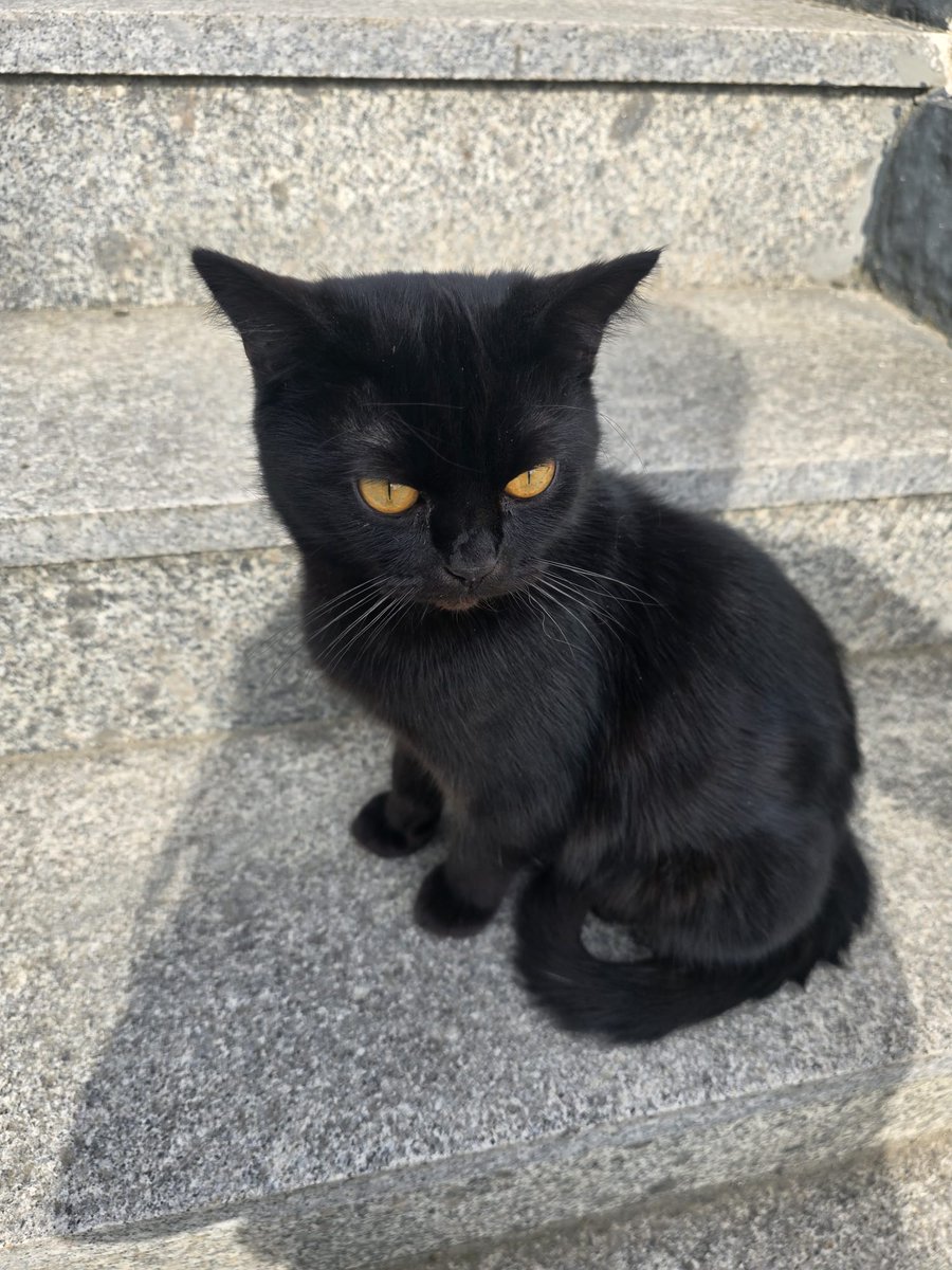 Turan Kaya tweet media