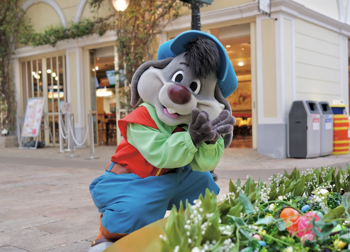 かわいいいいいいい🐰💐