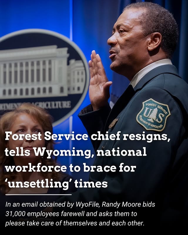 lcby's tweet image. Meanwhile, under the cover of war, and just in time for the US Spring wildfire season @realDonaldTrump admin’s done a massive gutting of the US Forest Service, which operates under the purview of the @USDA. The Service controls, 154 national forests &amp;amp; 

newyorker.com/news/the-lede/…