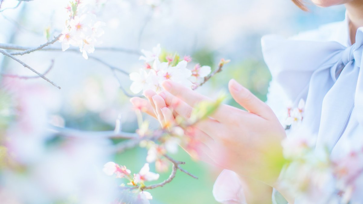 𝒦𝜗𝜚˚⋆ tweet media