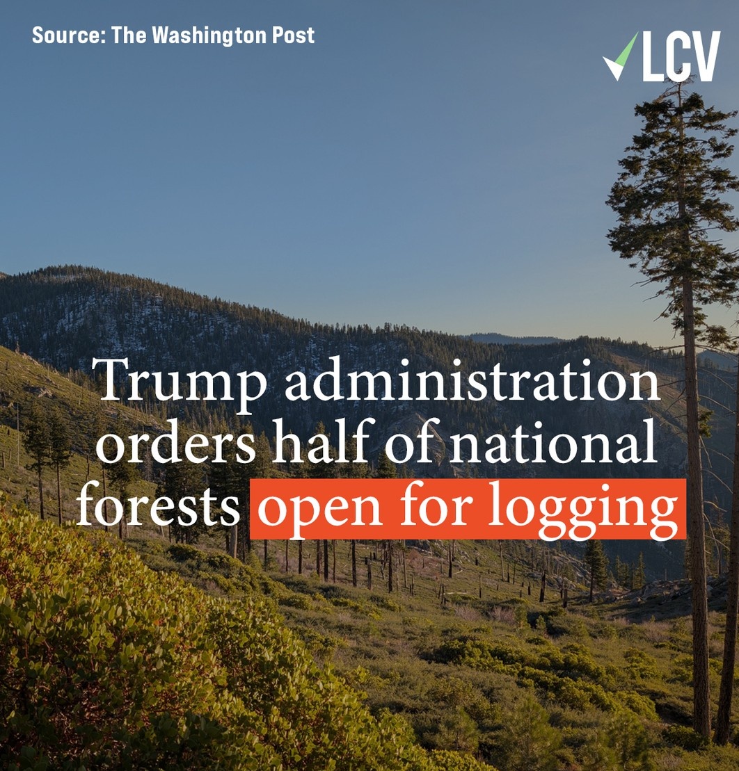 lcby's tweet image. Meanwhile, under the cover of war, and just in time for the US Spring wildfire season @realDonaldTrump admin’s done a massive gutting of the US Forest Service, which operates under the purview of the @USDA. The Service controls, 154 national forests &amp;amp; 

newyorker.com/news/the-lede/…