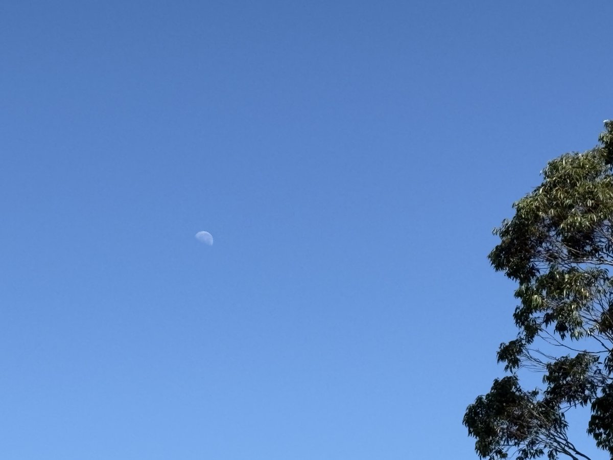 paper.mkv tweet media