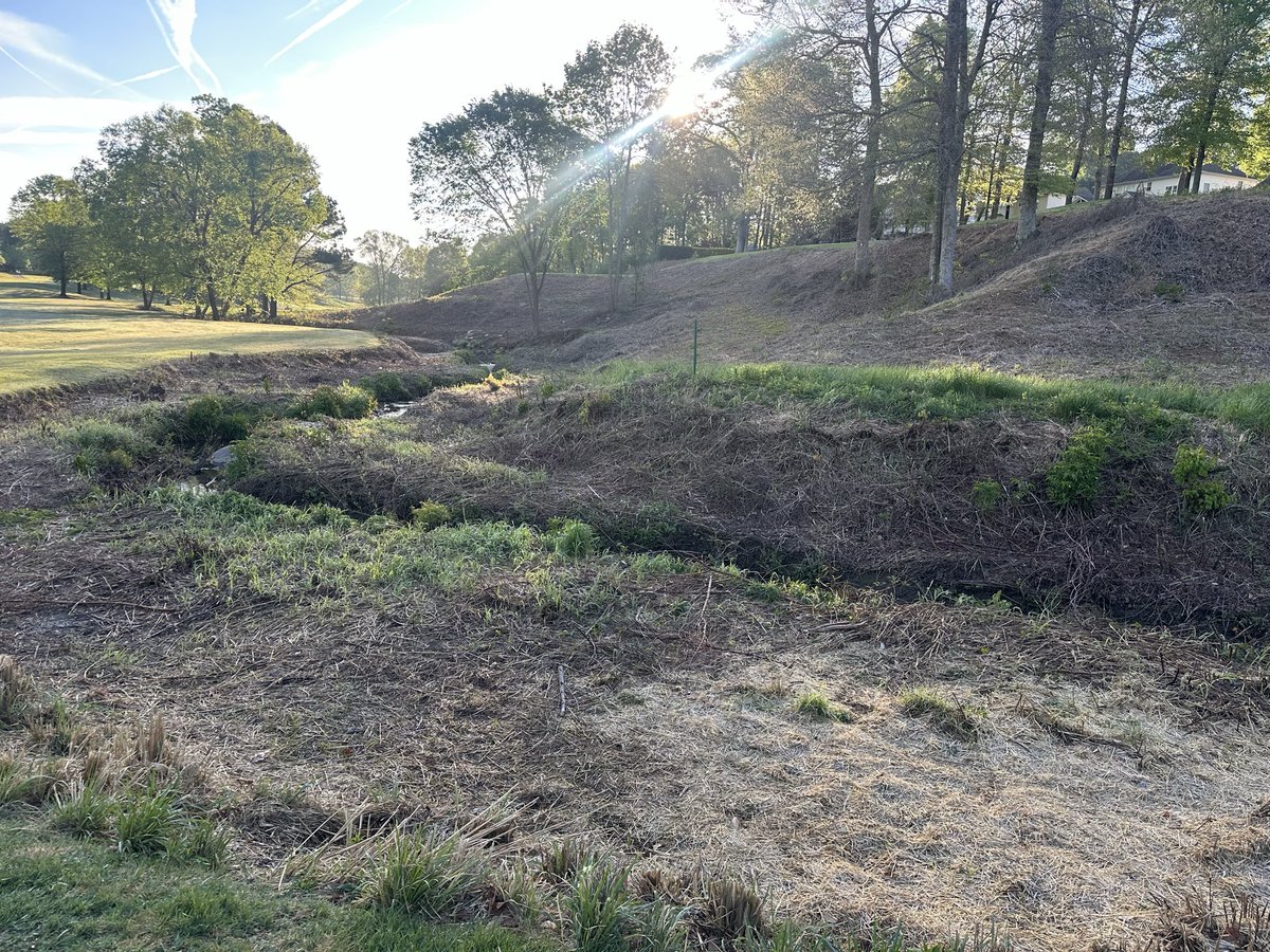 Daryck Beetham tweet media