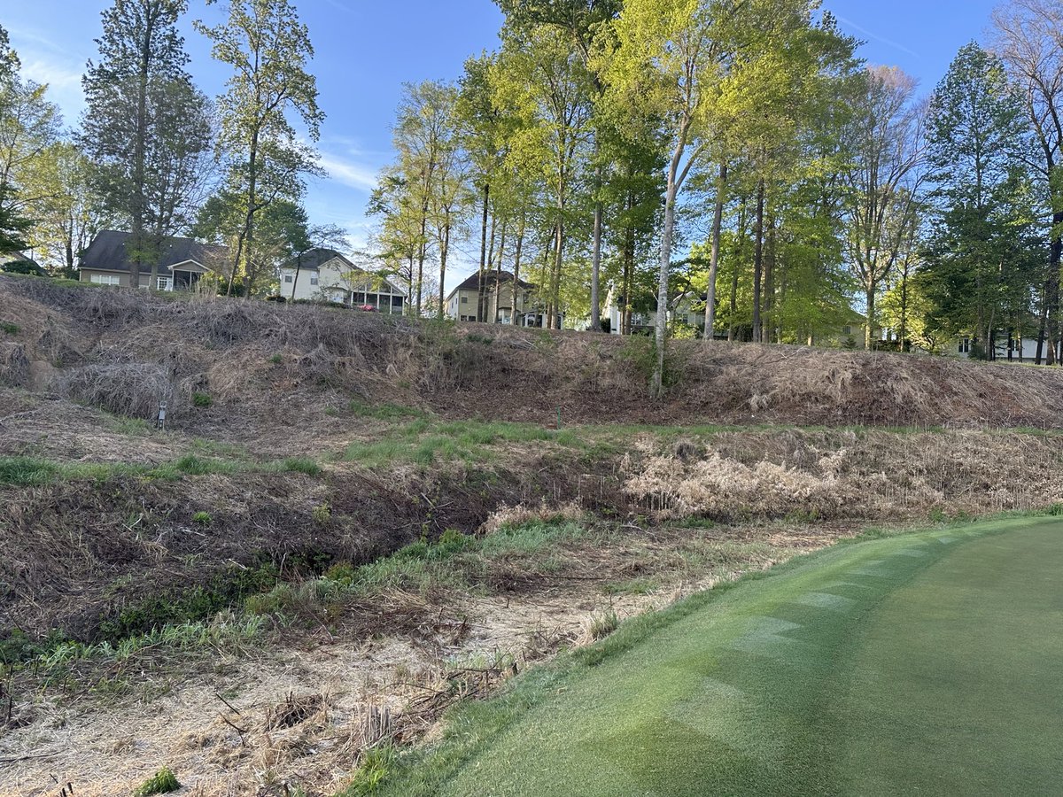 Daryck Beetham tweet media