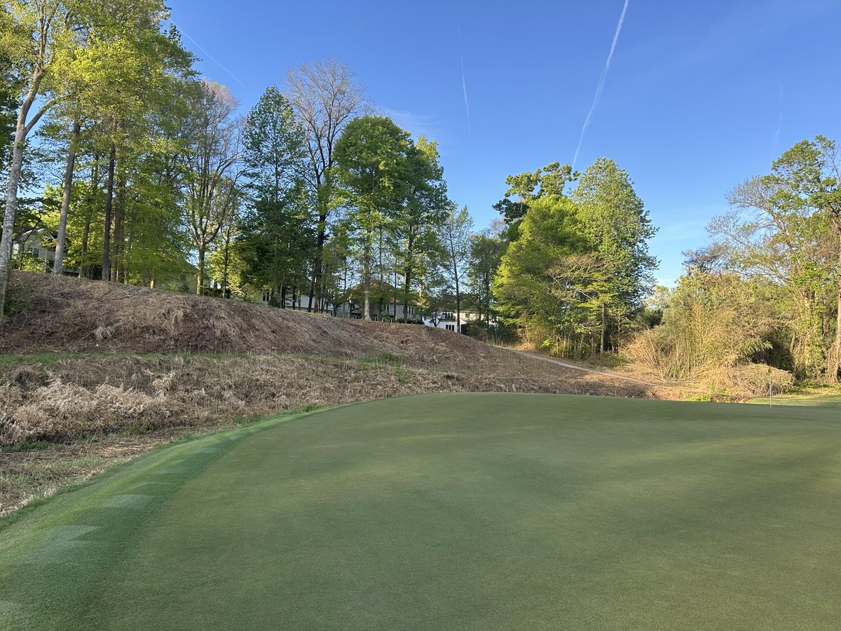 Daryck Beetham tweet media