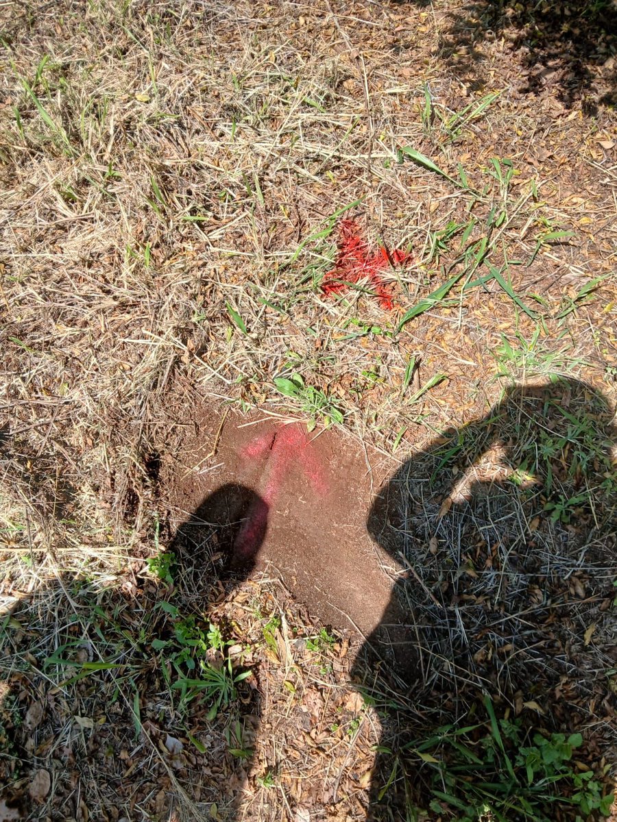 @CityPowerJhb tweet media