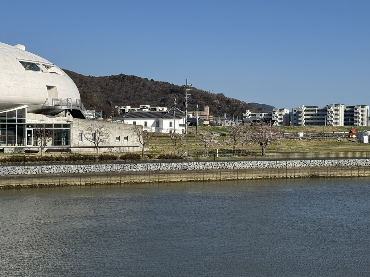 そして、対岸からの
e🌸🌸🌸❣️
