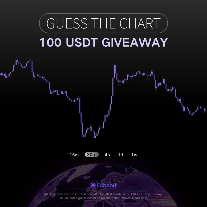 Echobit Exchange tweet media