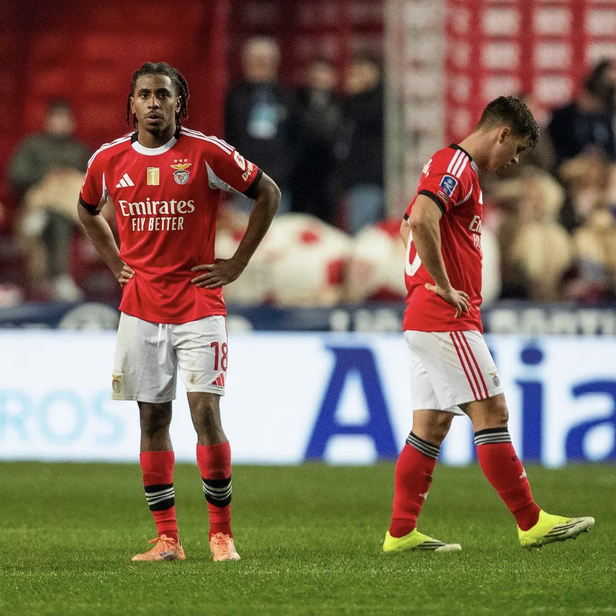 PLUS Benfica tweet media