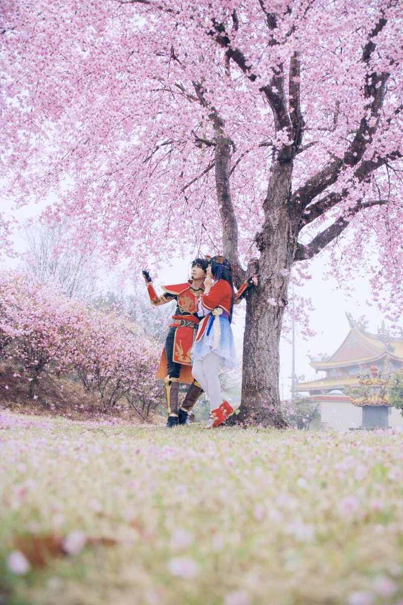 黒スミレ tweet media