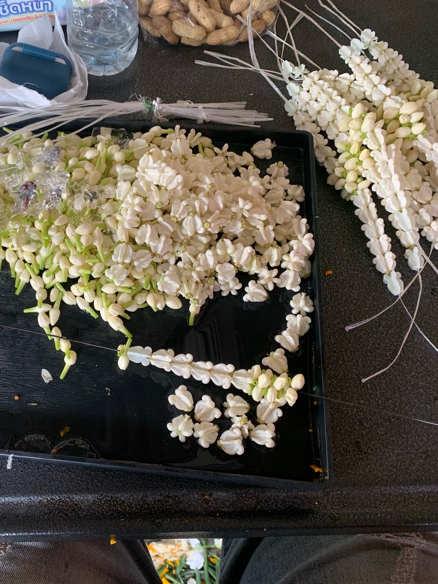 แพทจ๋า🤍 tweet media