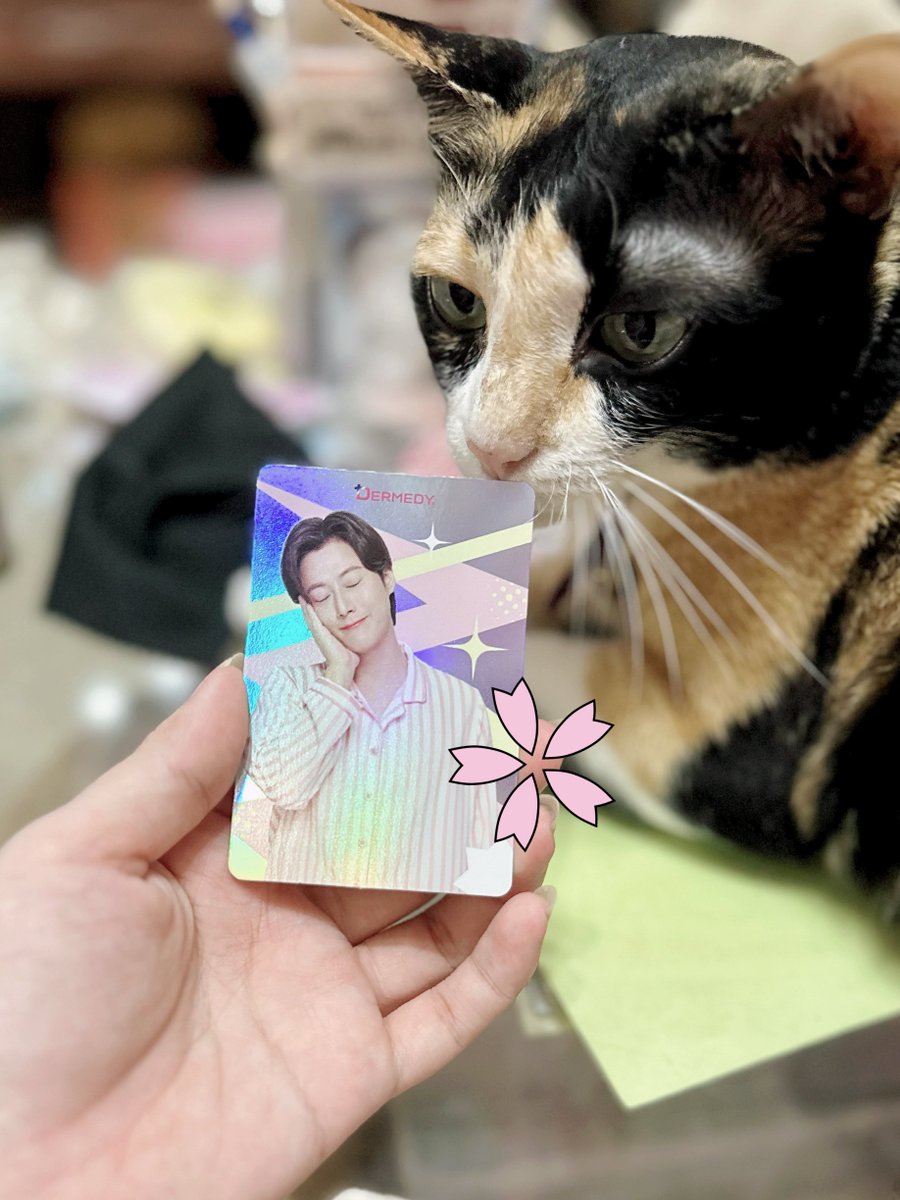 มาคัลแลนจะขับเอง!!! tweet media