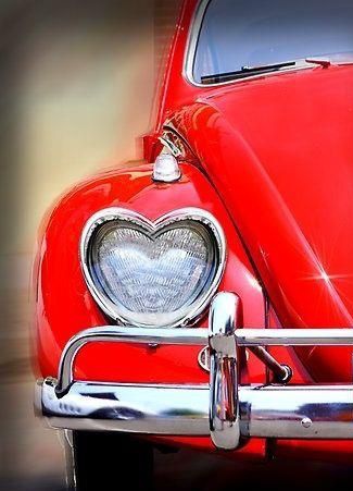 Ірина Вся🌺💛💙 tweet media