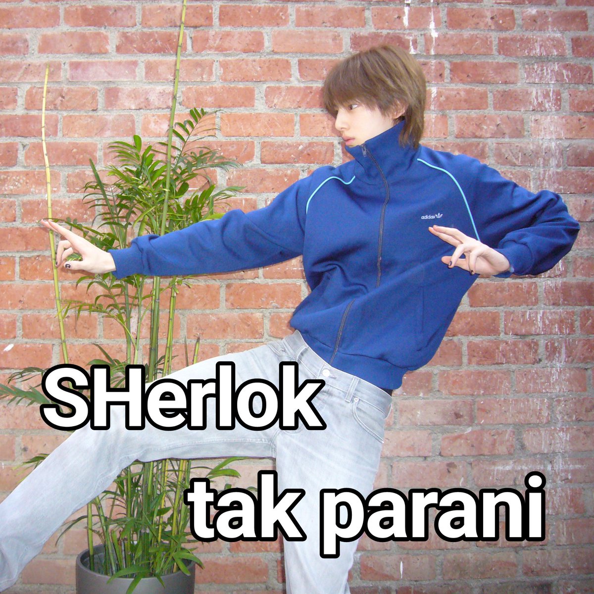 mae 🐈‍⬛ tweet media