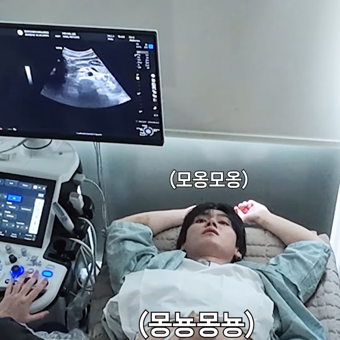 amber 🐾 tweet media