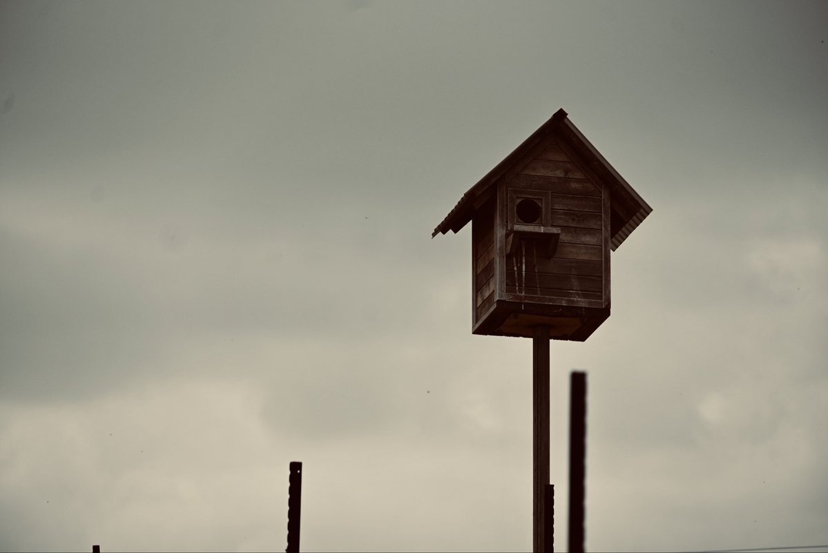 lizaphoto20's tweet image. no rush to arrive
#photography