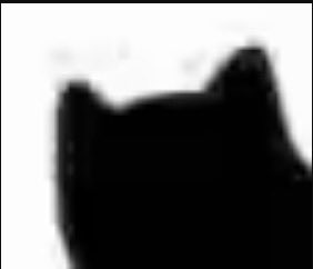 肆肆肆肆 tweet media