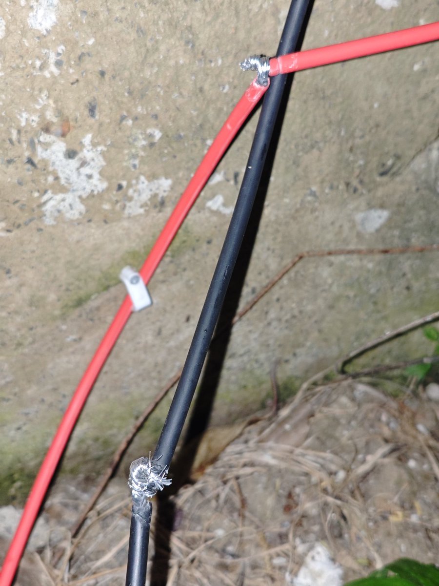 鲨了我吧 tweet media