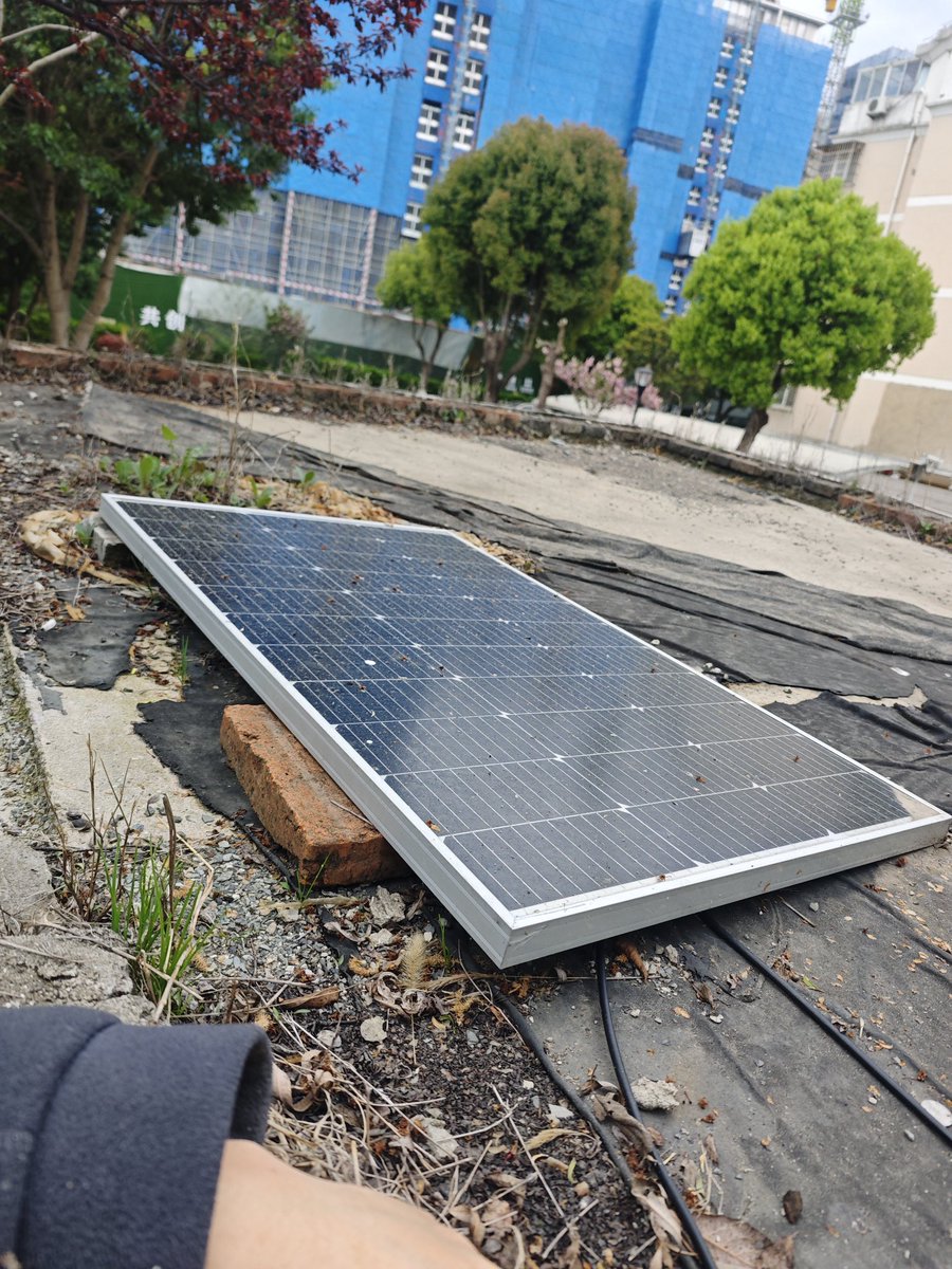 鲨了我吧 tweet media