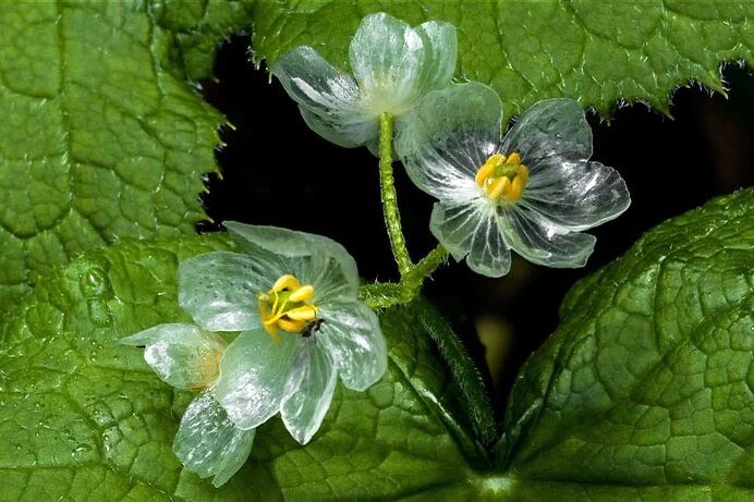 つーちゃん@綴 tweet media