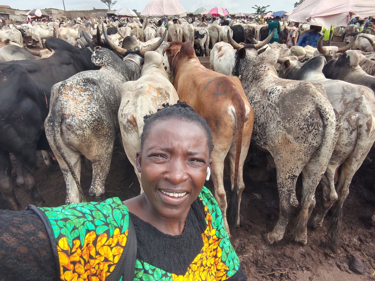 Tomi of ROYAL LINE FOODS tweet media