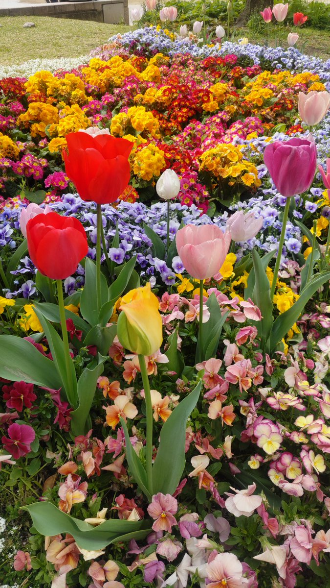 にしじー tweet media