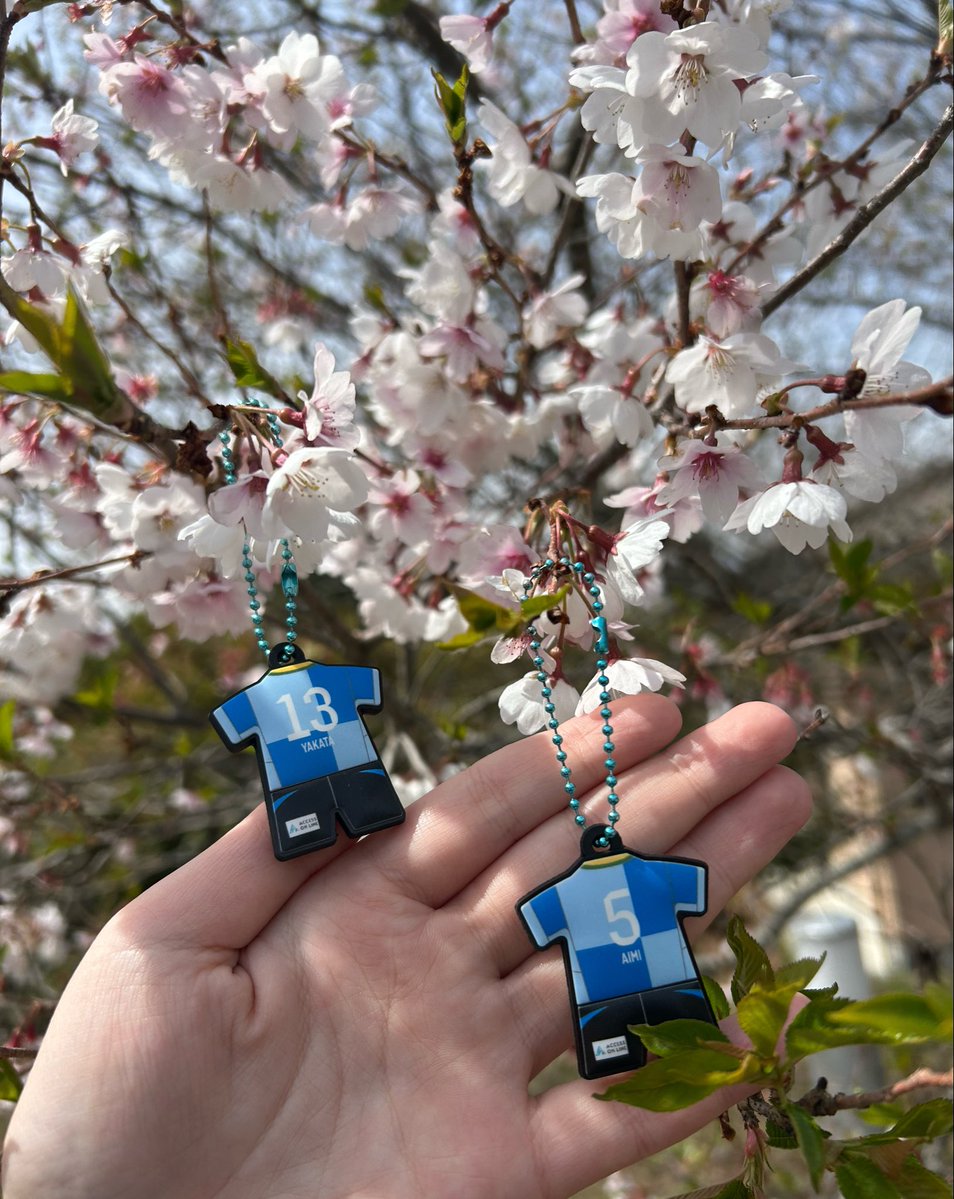 春！！学校の桜も満開！！🌸✨️