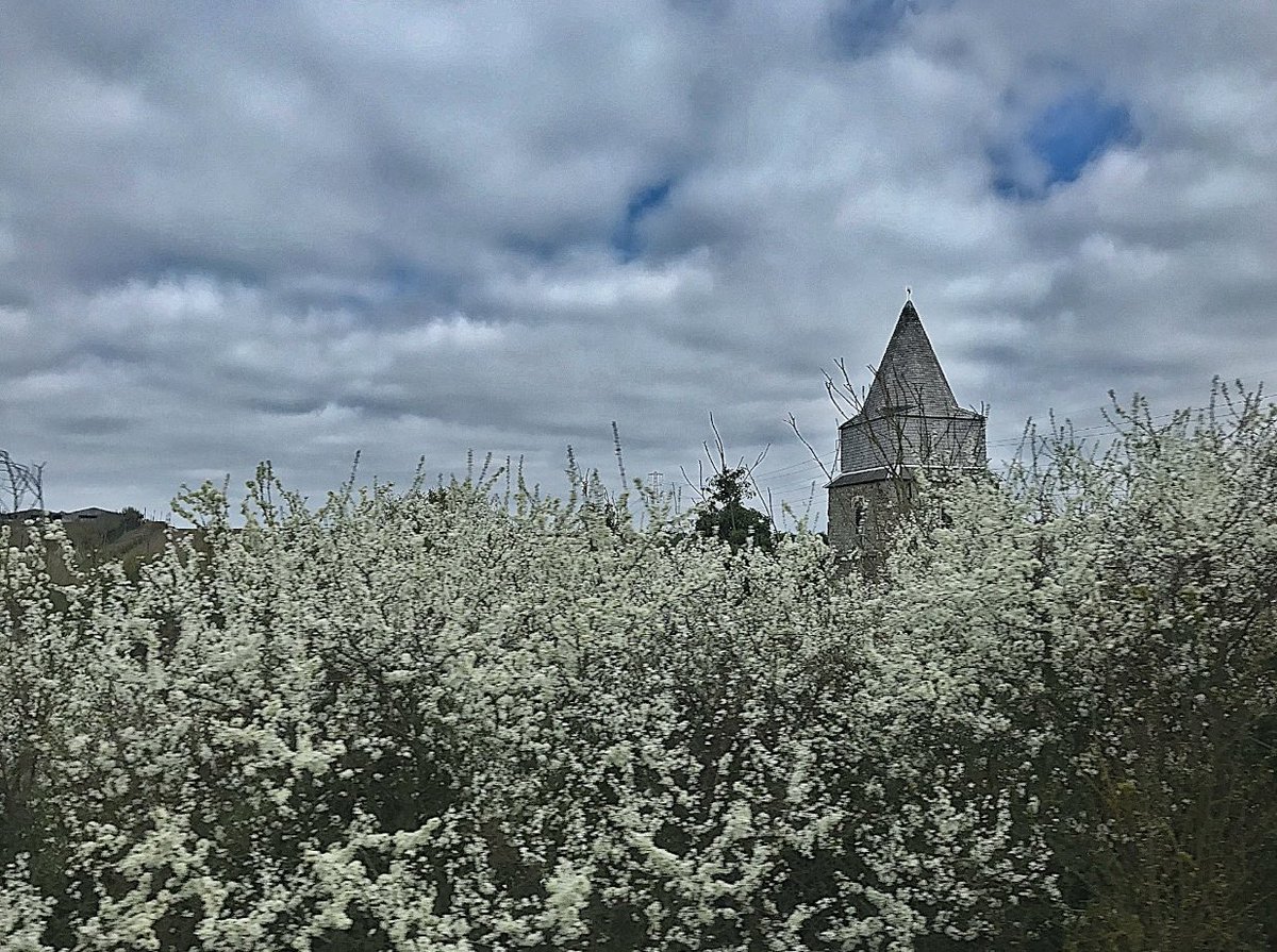 HooklandGuide's tweet photo. The land is blossom blur. Spring wears its bridal white despite a belly already swollen with coming summer. The feral churches of the county hold marriages for spectral couples. Even myths are mating, creating stories waiting to be born. Our blood chases hope. – #DAKilroy, 1982 https://t.co/Ml8lRgcfJx