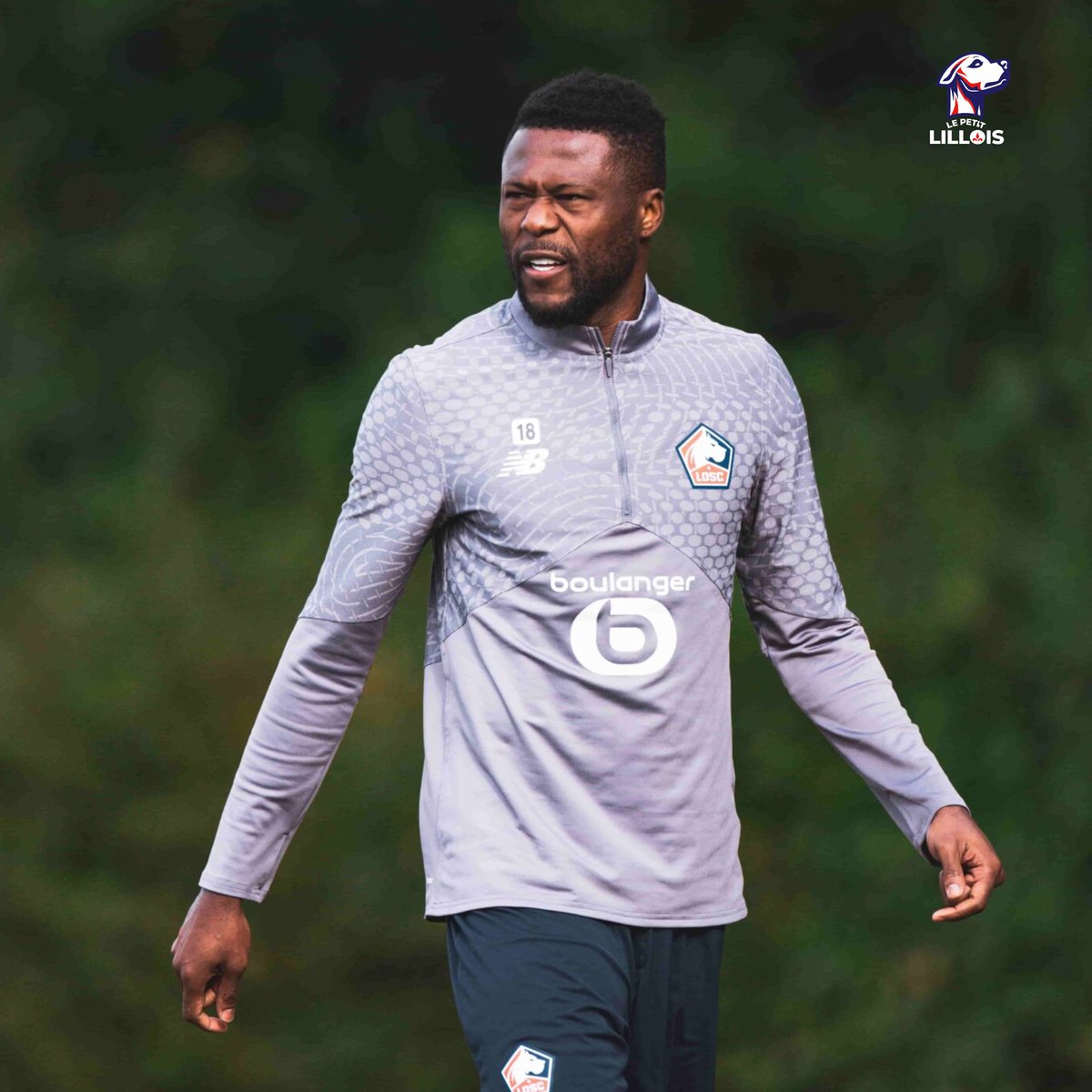 Le Petit Lillois ⚜️ tweet media