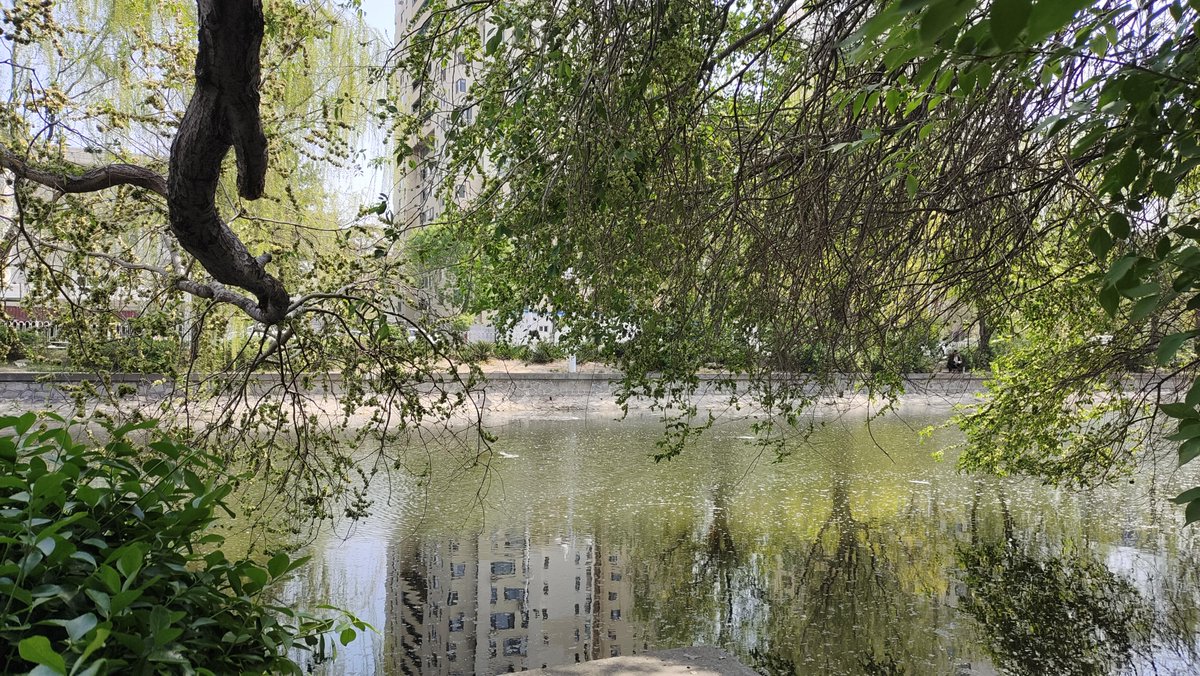 diana burgess tweet media