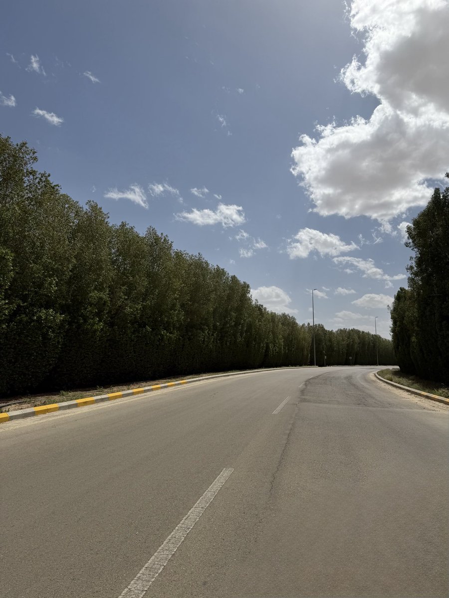 Galaxy🛸 tweet media