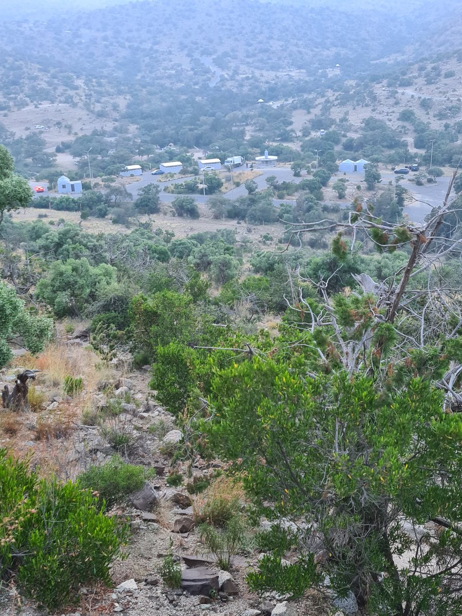 Saad bin Mzher 🇸🇦 tweet media