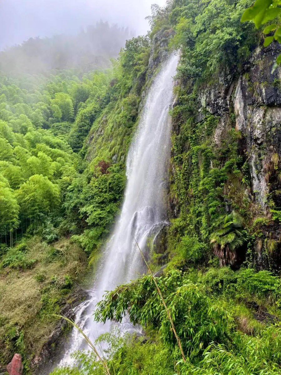 Peta-Skye Fricke tweet media