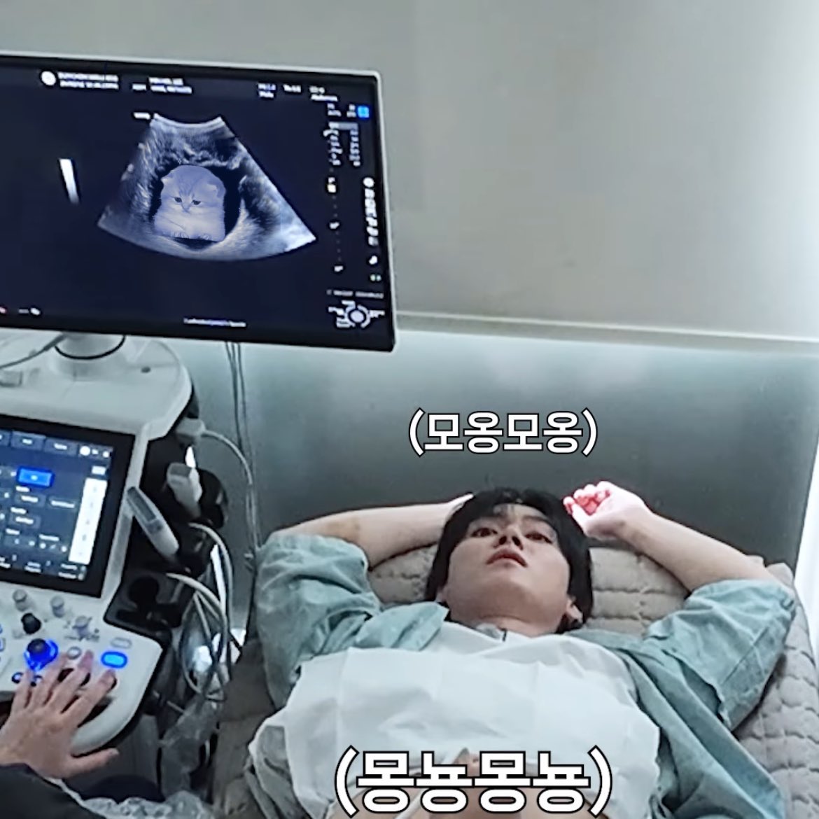 fox ●ᴥ● tweet media