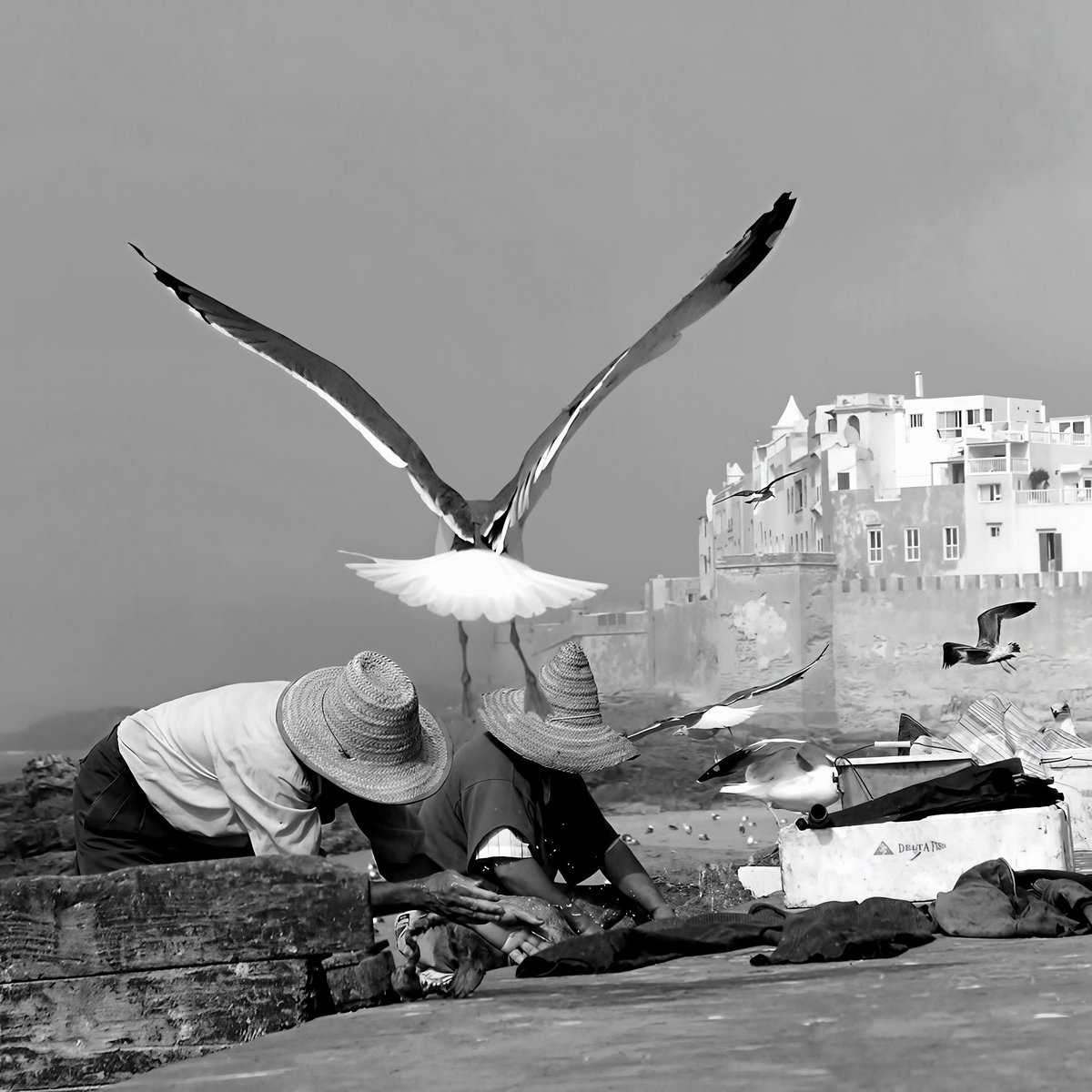 Marie-Sophie Deglume - Essaouira, Maroc