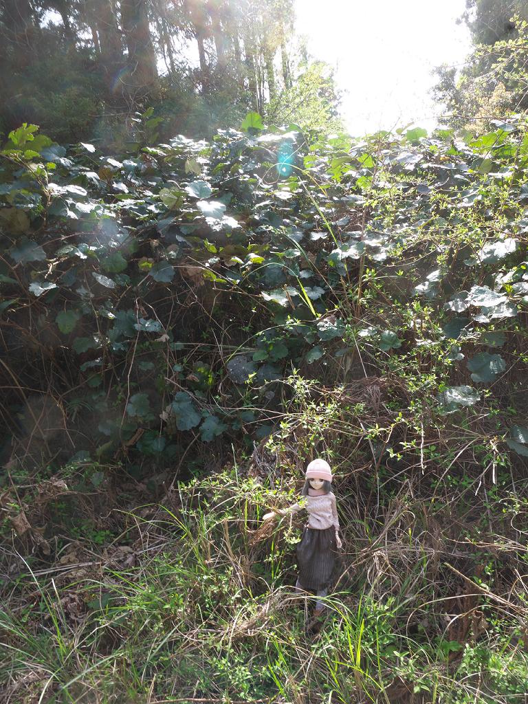 けうゐ tweet media