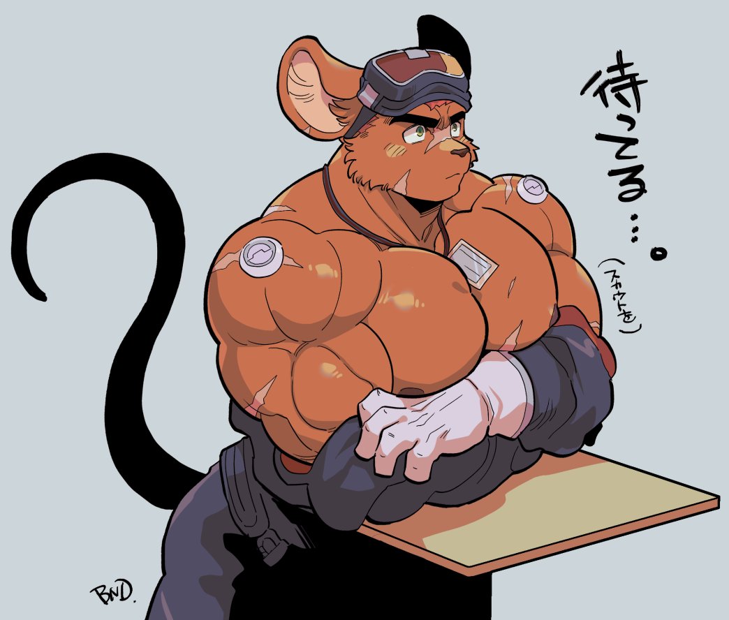 番田 | Banda🐯けもケE-28 tweet media