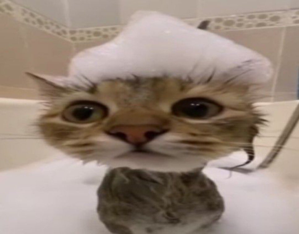 lufre astr✩boy tweet media