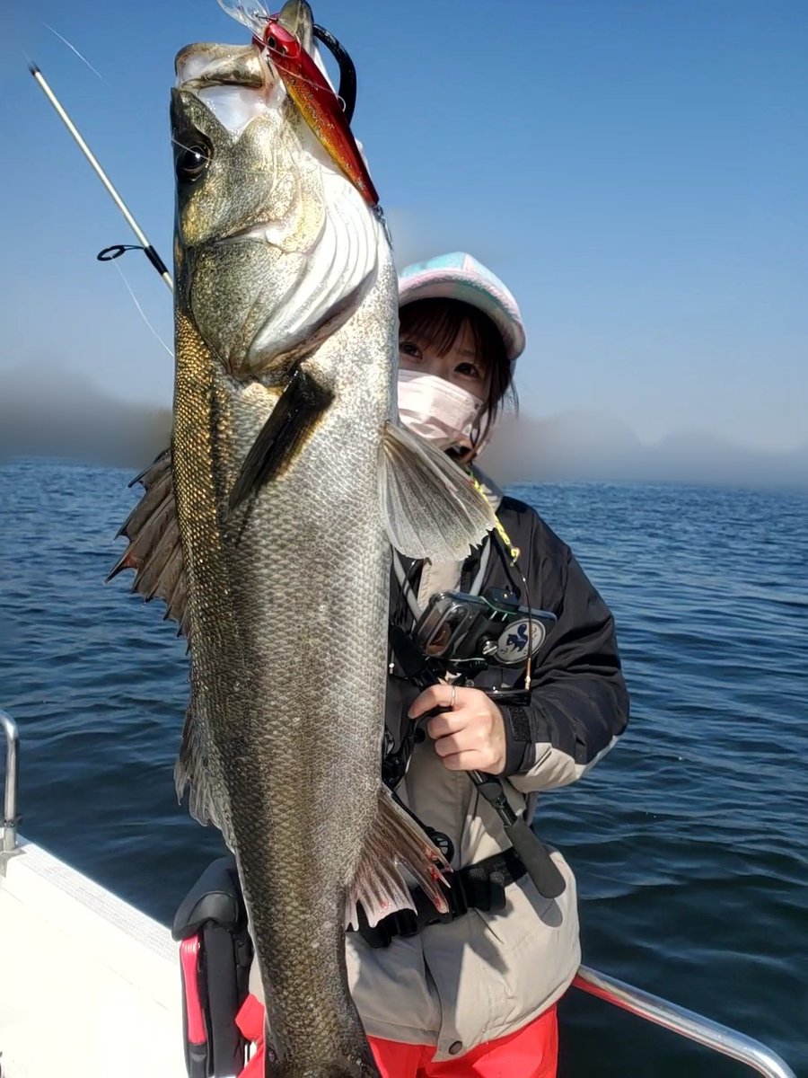 さみちゃん tweet media