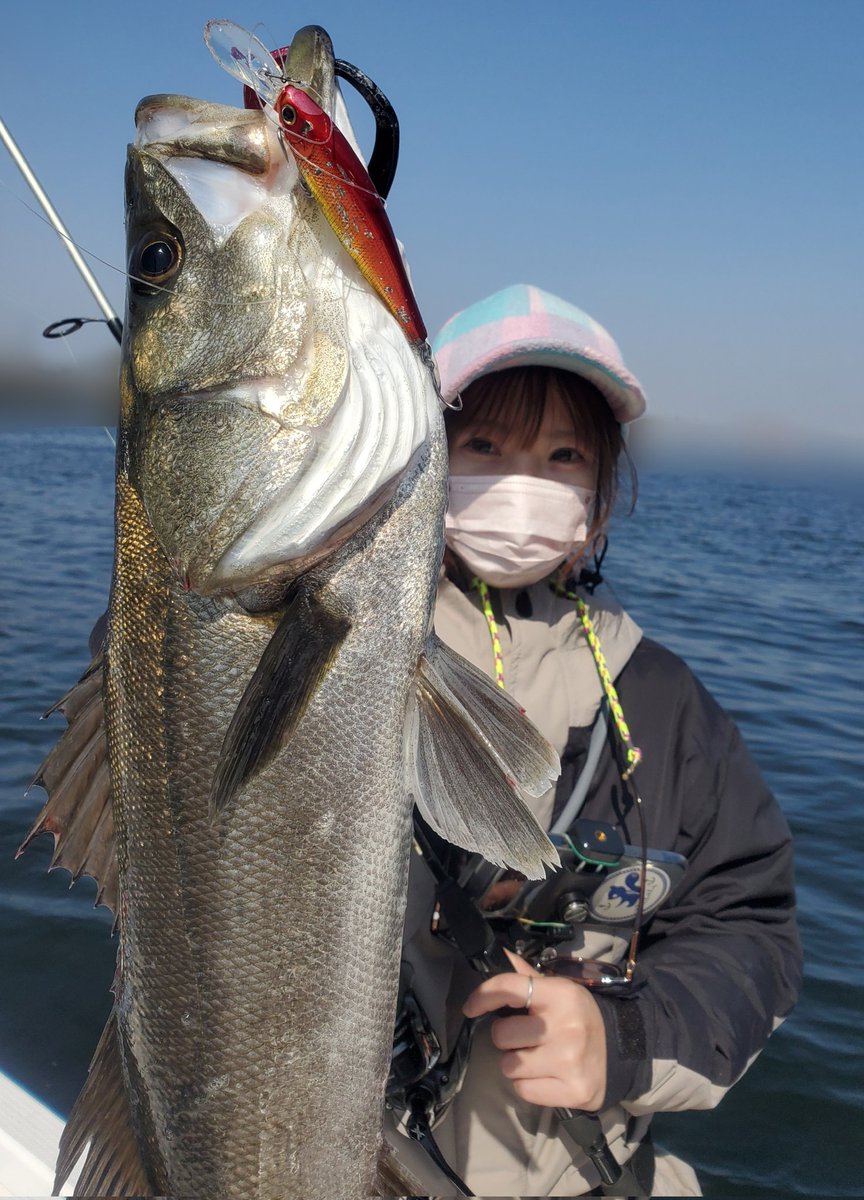 さみちゃん tweet media