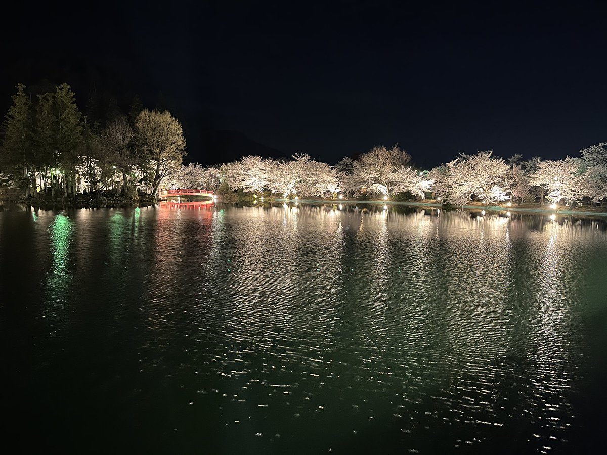 ☘️茜☘️ tweet media