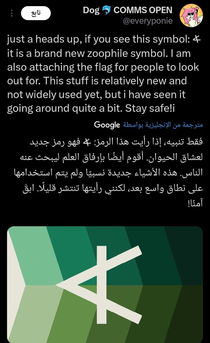 one more night🪭 tweet media