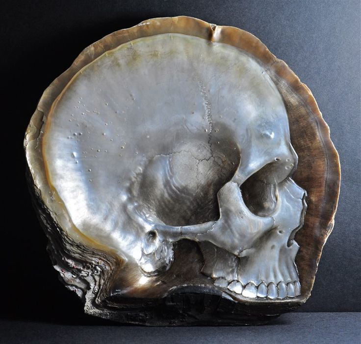 artenpedia's tweet photo. Filipino artist, Gregory Halili, carves intricate skulls into mother of pearl shells. https://t.co/6Piga9gcmX