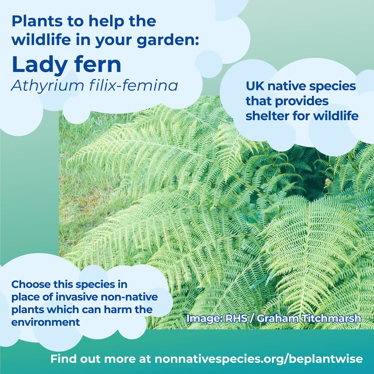 Invasive Species Week tweet media