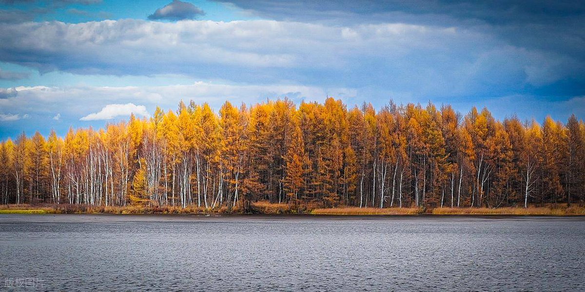 Bethany Korsgren tweet media