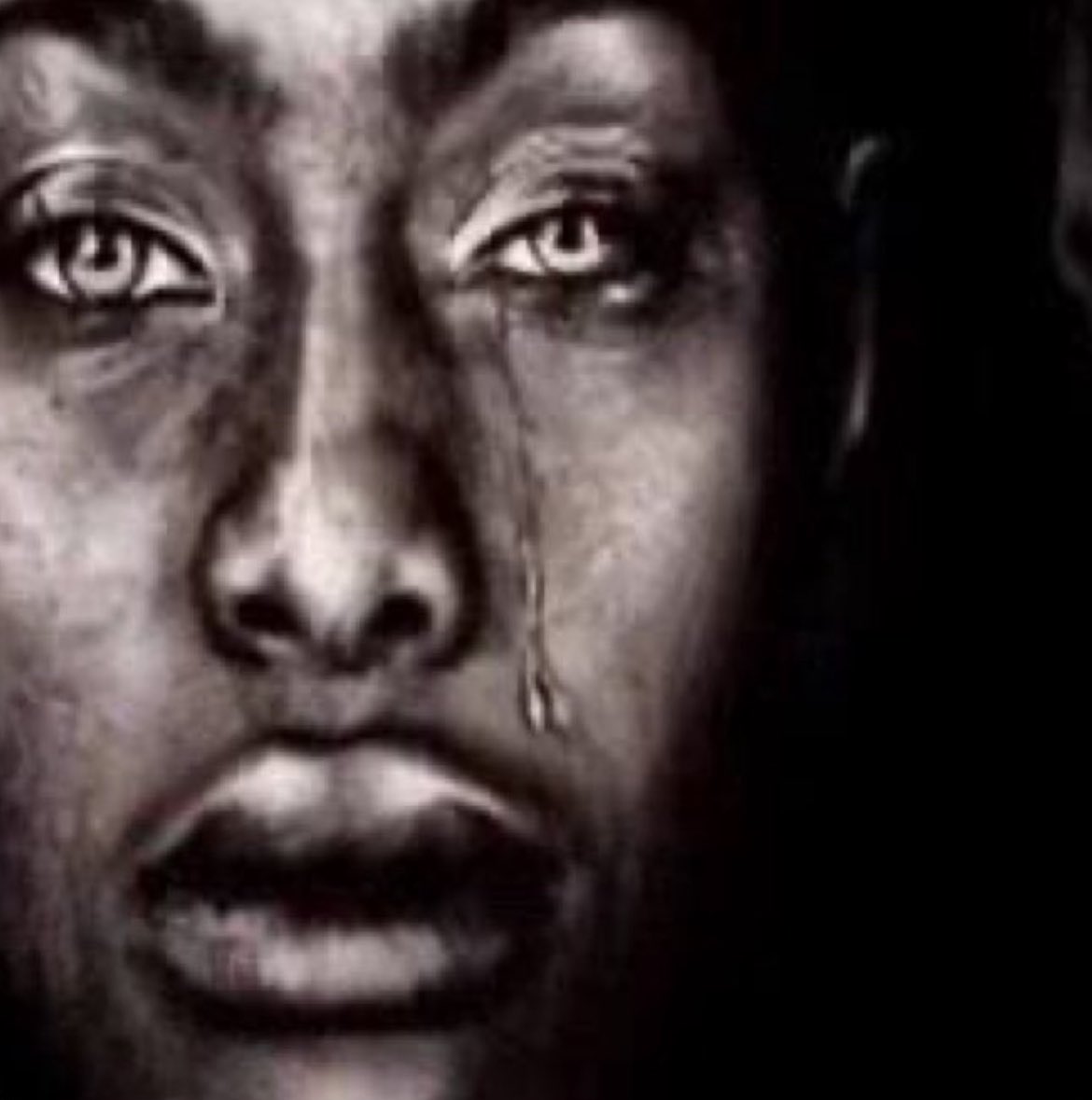 fel 🫗🦫 tweet media