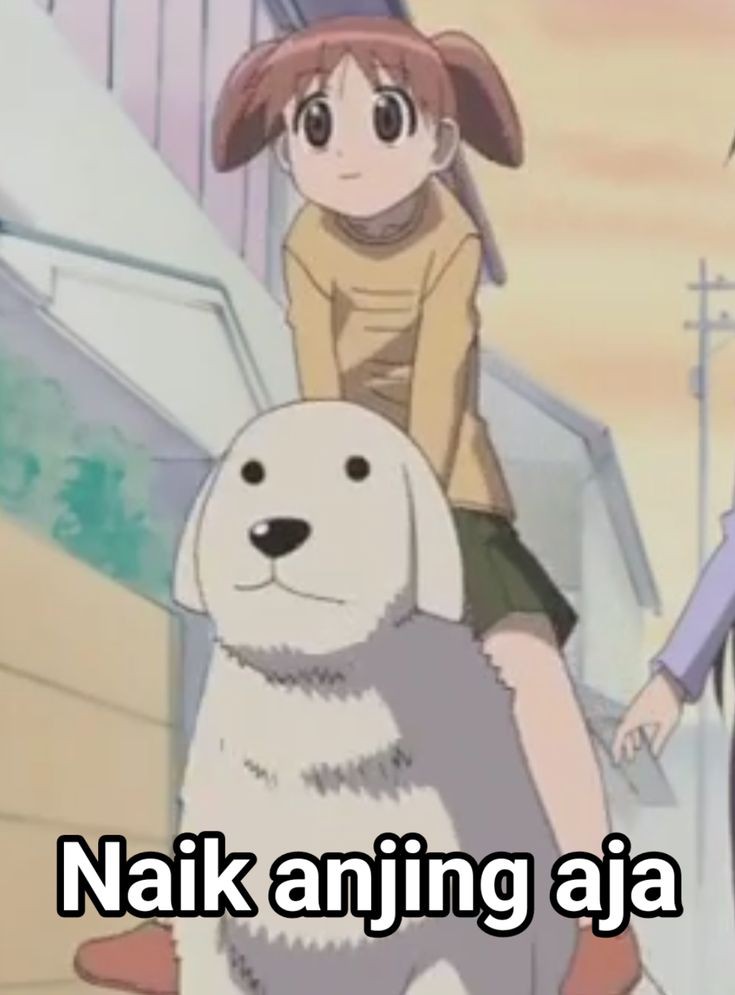 sunu (@pengaismeme) on Twitter photo 