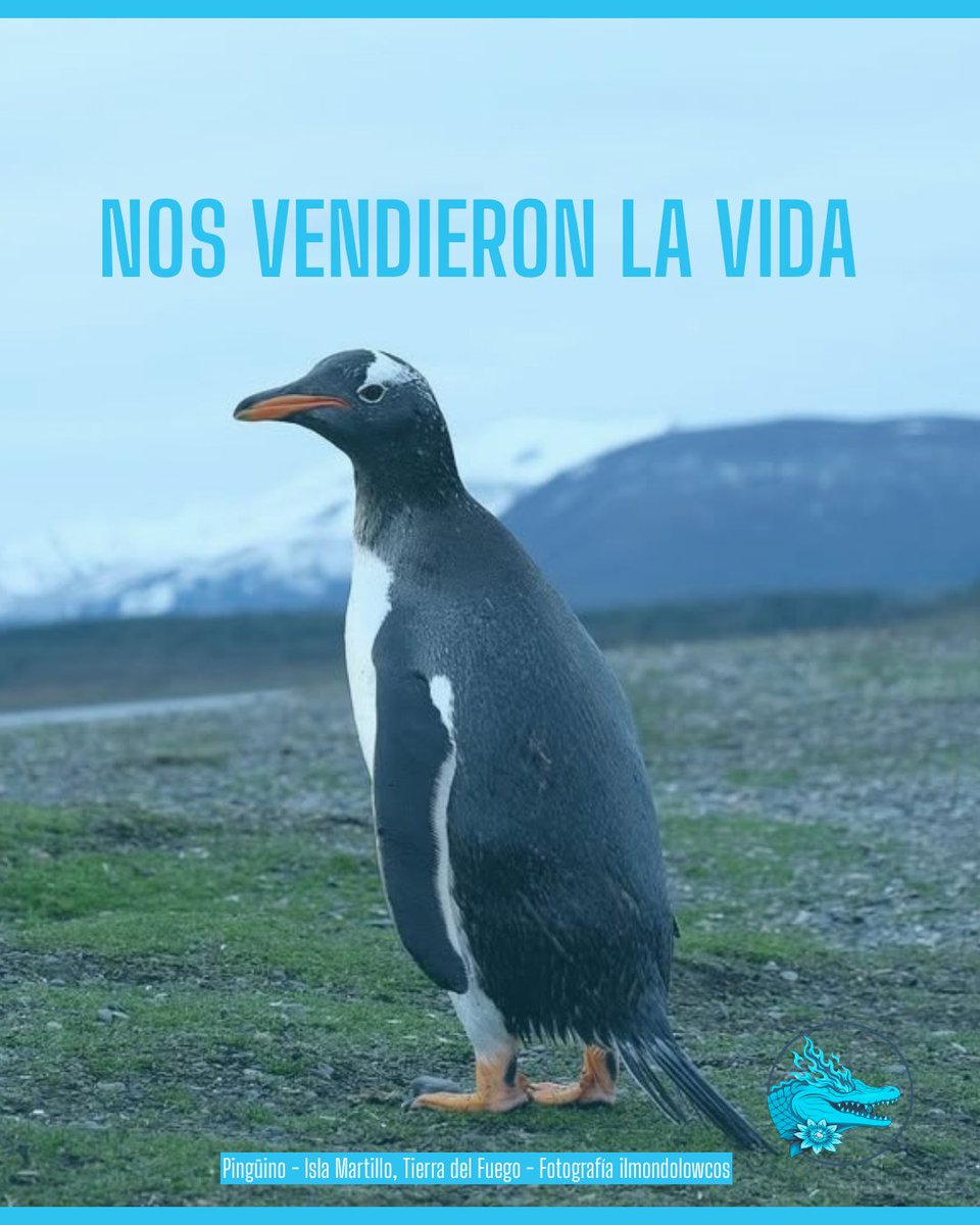 Libres Ecotransfeminista tweet media