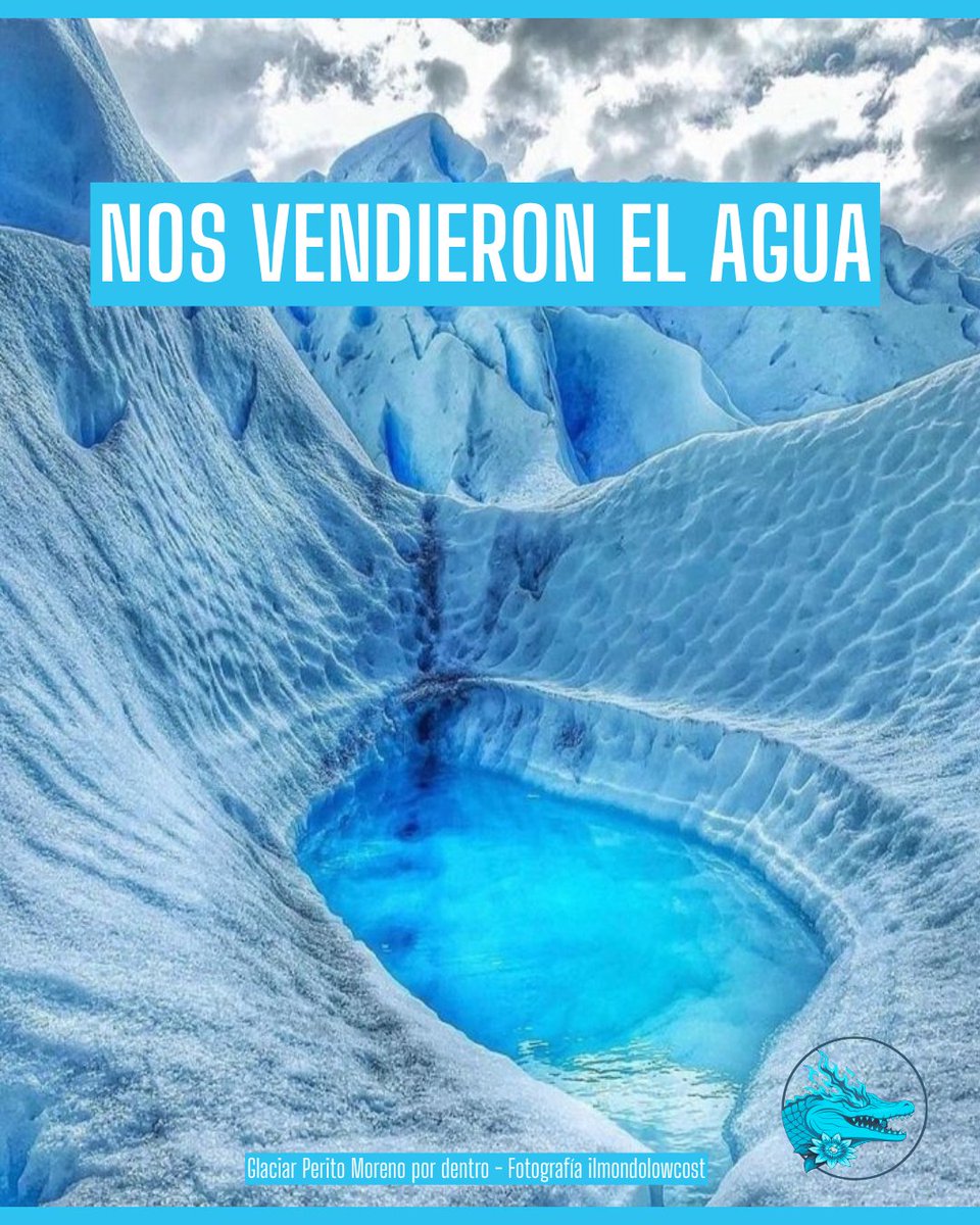 Libres Ecotransfeminista tweet media