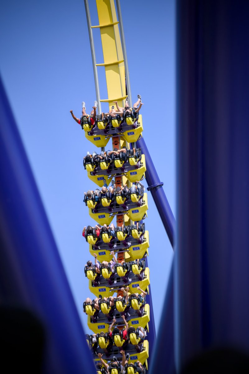 Themetography tweet media